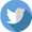 Twitter Icon